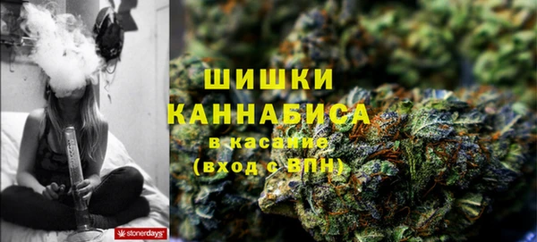 сатива Михайловка