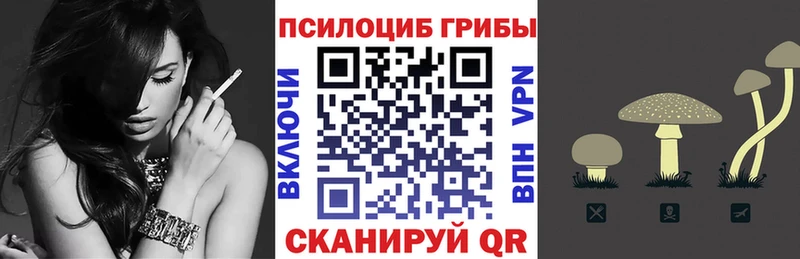 ОМГ ОМГ зеркало  Новоульяновск  Галлюциногенные грибы прущие грибы  магазин   
